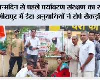 जन्मदिन से पहले पर्यावरण संरक्षण का संदेश, मीरापुर में डेरा अनुयायियों ने रोपे सैकड़ों पौधे