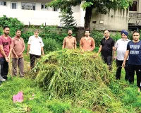 साध-संगत ने स्कूल ग्राउंड की साफ-सफाई कर बच्चों के लिए बनाया सुरक्षित खेल मैदान