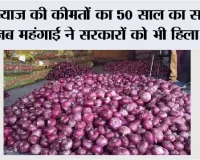 Onion Price Inflation History: प्याज की कीमतों का 50 साल का सफर, जब महंगाई ने सरकारों को भी हिला दिया