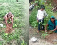 Tree Plantation: पावन अवतार दिवस पर पलामू में साध-संगत ने किया पौधारोपण, दिया पर्यावरण संरक्षण का संदेश
