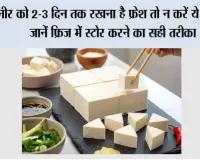 पनीर को 2-3 दिन तक रखना है फ्रेश तो न करें ये गलती, जानें फ्रिज में स्टोर करने का सही तरीका