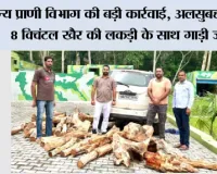 वन्य प्राणी विभाग की बड़ी कार्रवाई, अलसुबह 2 बजे 8 क्विंटल खैर की लकड़ी के साथ गाड़ी जब्त, तस्करों की तलाश जारी