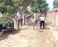 ब्लॉक रतनगढ़ की साध-संगत ने पौधारोपण कर चलाया सफाई अभियान