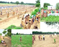 Tree Planting Campaign: पूज्य गुरु संत डॉ. एमएसजी के अवतार दिवस पर धरती को हरियाली का तोहफा