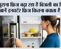 Which Fridge Are Best: पुराना फ्रिज बढ़ा रहा है बिजली का बिल? जानें इनवर्टर फ्रिज कितना बचाता है पैसा