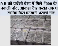 500-Rupee Note: PNB की करेंसी चेस्ट में मिले ₹500 के करोड़ों नकली नोट, आंकड़ा ₹17 करोड़ तक पहुंचा; जानिए कैसे पहचानें असली नोट