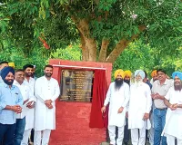 विधायक गज्जण माजरा ने 40 लाख की लागत से बनने वाले स्टील शेड का किया उद्घाटन 