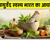 Ayurveda Diwas:  आयुर्वेद स्वस्थ भारत का आधार, पीएम मोदी के नेतृत्व में मिली विश्व में नई पहचान