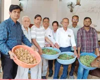 असहाय-बीमार गोवंश को खिलाया हरा चारा-गुड़ 