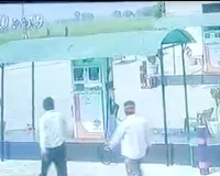 Dabwali Petrol Pump Robbery: पेट्रोल पंप पर कर्मचारियों से 51000 रुपए छीनकर चोर फरार
