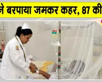 डेंगू के कहर से अब तक 87 मौतें! 61 हजार से ज्यादा मामले; हड़कंप