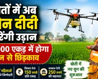 Drone Didi Yojana: फतेहाबाद में अब ‘ड्रोन दीदी’ करेंगी खेतों में छिड़काव, 7000 एकड़ का लक्ष्य