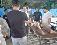 Pitbull Dog Attack: पिटबुल कुत्ते ने सातवीं कक्षा के छात्र को 16 जगह काटा
