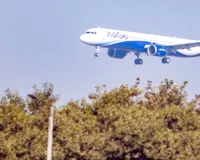 Indigo Flight: श्रीनगर एयरपोर्ट पर पार्किंग के दौरान पोल से टकराया इंडिगो का विमान