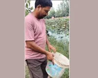 Kachhua: नाले में तैरता मिला दुर्लभ कछुआ, सभासद ने रेस्क्यू कर तालाब में छोड़ा