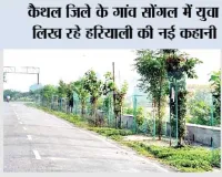 कैथल जिले के गांव सोंगल में युवा लिख रहे हरियाली की नई कहानी