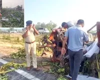 Kalayat Road Accident: 8 क्विंटल डोडापोस्त ले जा रहे ट्रक ने सड़क पर खड़े ट्रक में मारी ट्रक, चालक समेत 3 की मौत  