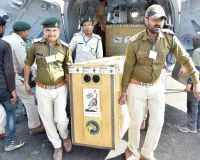 Cheetah KGP12: भारत में जन्मी 'केजीपी-12' ने चार चीतों को दिया जन्म 