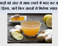 Lung Detox: फेफड़ों को अंदर से साफ रखने में मदद कर सकती हैं ये ड्रिंक्स, जानें किन आदतों से मिलेगा ज्यादा फायदा