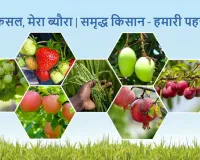 मेरी फसल-मेरा ब्यौरा पर पंजीकरण करवाने का समय खत्म, अभी भी  बड़ी संख्या में ऑनलाइन एंट्री बाकी 