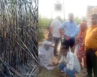 विद्युत लाइन में स्पार्किंग से गन्ने के खेत में लगी आग, 25 बीघा फसल जलकर राख