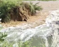 Sheranwali River: दड़बा कलां के पास शेरांवाली नहर टूटी, 25 एकड़ धान की फसल में जलभराव