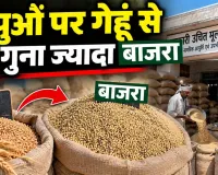 Ration Card Latest News: डिपुओं पर गेहूं से डेढ़ गुना ज्यादा बाजरा, 2.22 लाख परिवारों को मिलेगा मुफ्त राशन