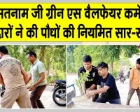 Tree Care: शाह सतनाम जी ग्रीन एस वैलफेयर कमेटी के सेवादारों ने की पौधों की नियमित सार-संभाल