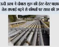Saudi Arabia: सऊदी अरब ने दोबारा शुरू की ईस्ट-वेस्ट पाइपलाइन, तेल सप्लाई बढ़ने से कीमतों पर राहत की उम्मीद