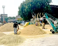 Paddy Procurement: धान खरीद शुरु होते ही अटकी, मंडियों में व्यवस्था ठप
