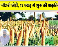 Organic Farming: बैंक की नौकरी छोड़ी, मिट्टी से जोड़ा नाता, 12 एकड़ में कर रहे प्राकृतिक खेती