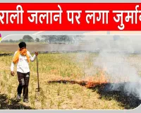 Stubble Burning: पराली जलाने की 27 घटनाएं आईं सामने, 10 की पुष्टि; 35 हजार का जुर्माना