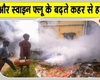 Dengue in Tamil Nadu: तमिलनाडु में डेंगू और स्वाइन फ्लू का बढ़ता कहर, अब तक 13,573 मामले आए सामने, नौ की मौत