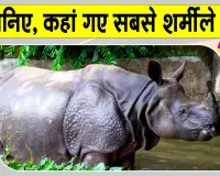 World Rhino Day 2026: गैंडों की अनोखी दुनिया, सबसे शर्मीली प्रजाति 'सुमात्राई' हो रही विलुप्त