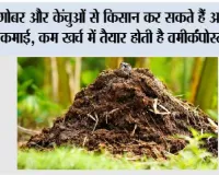 Agricultural News: गोबर और केंचुओं से किसान कर सकते हैं अतिरिक्त कमाई, कम खर्च में तैयार होती है वर्मीकंपोस्ट खाद