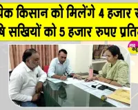 Natural Farming: प्राकृतिक खेती को बढ़ावा, 45 कलस्टरों में किसानों को मिल रही अनुदान सहायता 