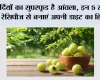 सर्दियों का सुपरफूड है आंवला, इन 5 स्वादिष्ट रेसिपीज से बनाएं अपनी डाइट का हिस्सा