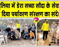 Australia Tree Plantation: ऑस्ट्रेलिया में डेरा सच्चा सौदा के अनुयायियों का विशाल पौधारोपण अभियान
