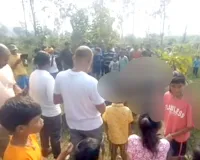 Hathini: झारखंड के चाईबासा में खेत में मृत पाई गई हथिनी, दोनों दांत काट ले गए तस्कर