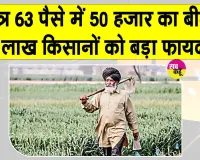 Haryana KCC Insurance Scheme: किसान क्रेडिट कार्ड धारकों के लिए सैनी सरकार का बड़ा ऐलान