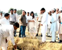 ओलावृष्टि से किसानों की मेहनत पर फिरा पानी, एसडीएम ने लिया नुकसान का जायजा
