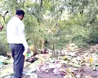 नहर किनारे फेंकी मिलीं जहरीली कृषि दवाइयां और बीज