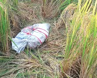 Heroin: सीमा पार से ड्रोन के जरिए आई 10.750 किलो हेरोइन बरामद