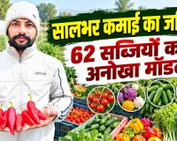 Farmer Success Story: मत्तड़ के किसान गुरप्रीत का 62 सब्जियों का अनोखा मॉडल, किसान हुआ मालामाल