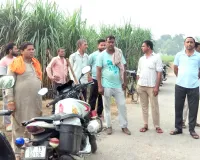 Kairana Theft News: शेखूपुरा के जंगल से दस खंभों के तार काट ले गए चोर