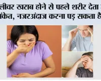 Liver Damage Symptoms:  लीवर खराब होने से पहले शरीर देता है ये संकेत, नजरअंदाज करना पड़ सकता है भारी
