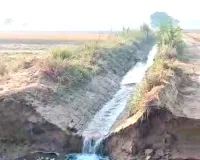 Lohgarh Link Minor News: 8 दिन में दूसरी बार टूटी लोहगढ़ लिंक माइनर, किसानों में हाहाकार