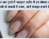 Nail Care Tips: बार-बार टूटते हैं नाखून? शरीर में इन पोषक तत्वों की कमी हो सकती है वजह, जानें मजबूत बनाने के उपाय