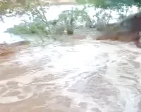 7 दिन बाद फिर टूटी कुतियाना माइनर, 30 एकड़ में फसल डूबी