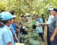 Nature Study Camp: मियावाकी जंगल में बच्चों ने जाना प्रकृति का महत्व 